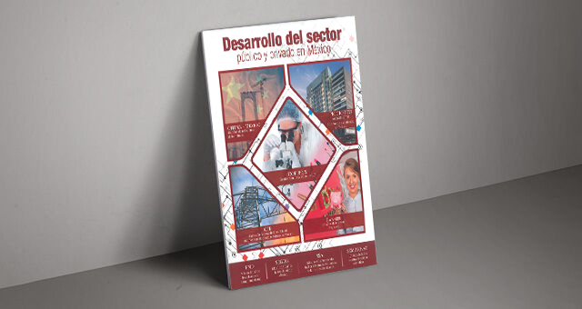Desarrollo del Sector Público y Privado en México